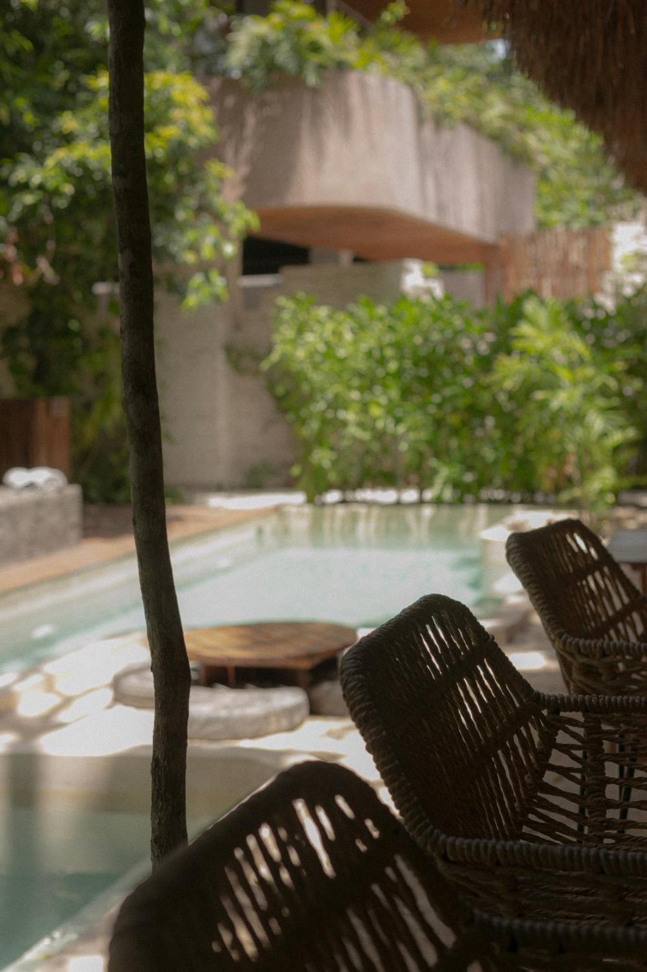 Zereno Tulum Beach Club Access Eksteriør billede