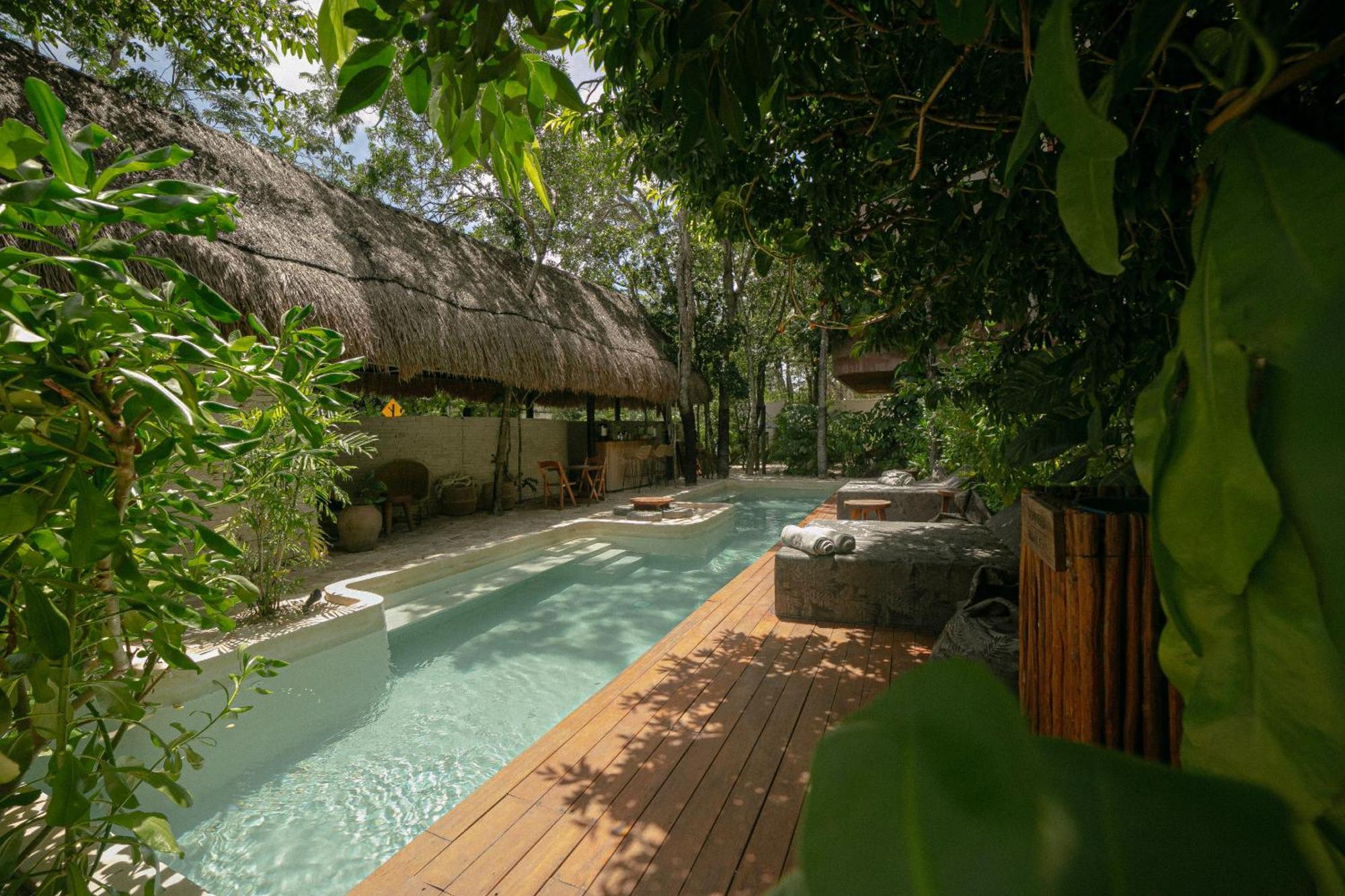 Zereno Tulum Beach Club Access Eksteriør billede